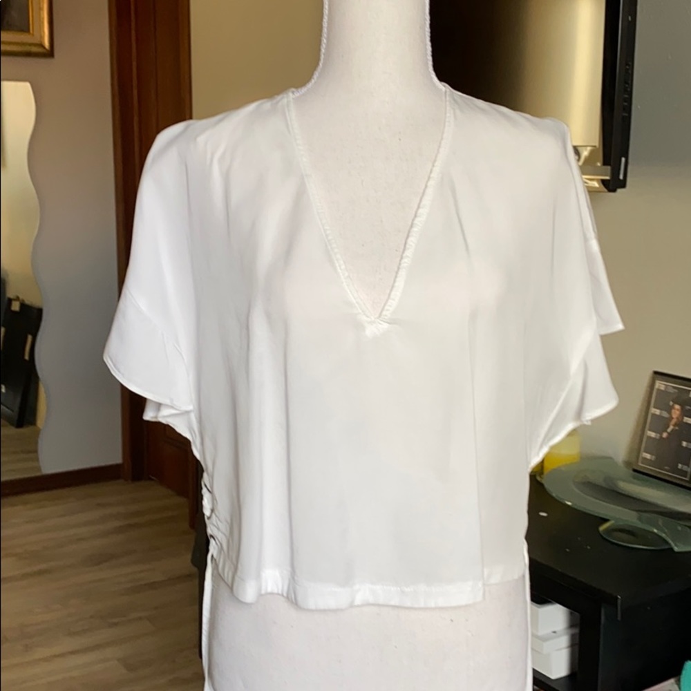 Zara cropped top